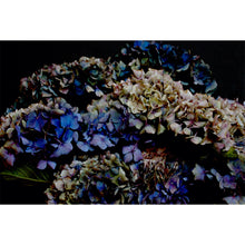 Load image into Gallery viewer, Landscape Hydrangea
