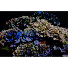 Load image into Gallery viewer, Landscape Hydrangea