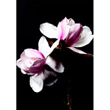Load image into Gallery viewer, Magnolia - Pink