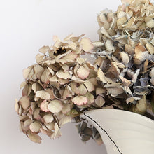 Load image into Gallery viewer, Found and Foraged - Marblewood