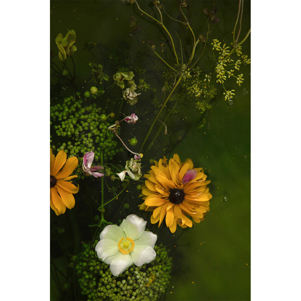 Ophelia series - 'Aquatic Blooms'