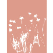 Load image into Gallery viewer, Lumen Print - Daisies
