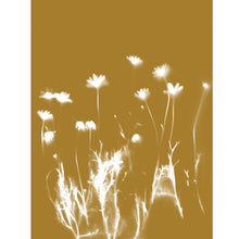 Load image into Gallery viewer, Lumen Print - Daisies
