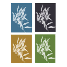 Load image into Gallery viewer, Lumen Print - Gum Leaf
