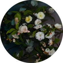 Load image into Gallery viewer, A Little Daydream - 150mm porthole
