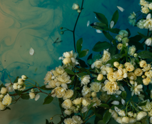 Load image into Gallery viewer, SALE Watercolour Gardens  - Underwater Flowers III
