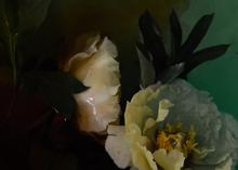 Load image into Gallery viewer, Watercolour Gardens  - Underwater Flowers
