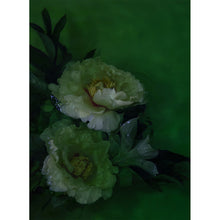 Load image into Gallery viewer, Watercolour Gardens  - Underwater Flowers II
