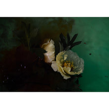 Load image into Gallery viewer, Watercolour Gardens  - Underwater Flowers
