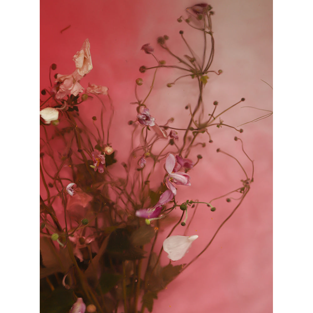 Ophelia series - Wildflowers